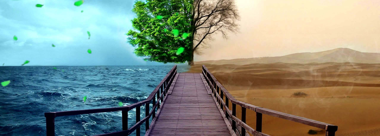 精誠合作、誠信服務